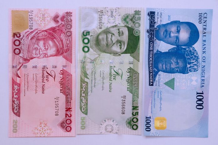 New-Naira-notes-696×464