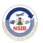 NSIB: Cockpit Errors, Ignored Warnings Caused Jet to Land on Asaba Road