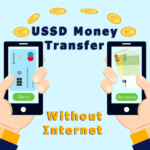 USSD-Payment (1)