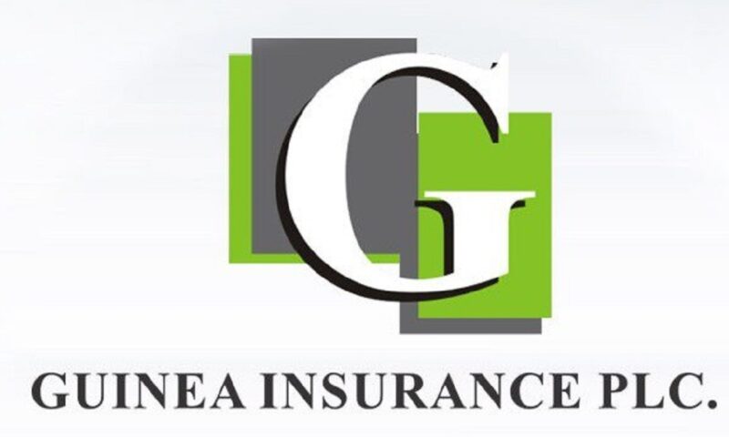 Guinea Insurance’s profit drops 69%