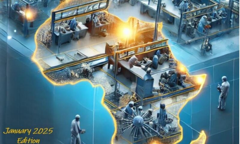 From Struggles to Strategy: Can Africa’s Manufacturing Sector Overcome Its Hurdles in 2025?