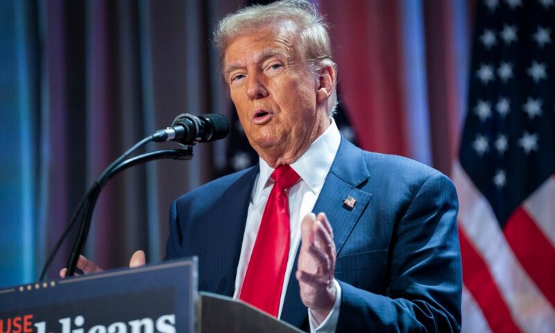 Trump mulls returning 20% of DOGE savings to Americans