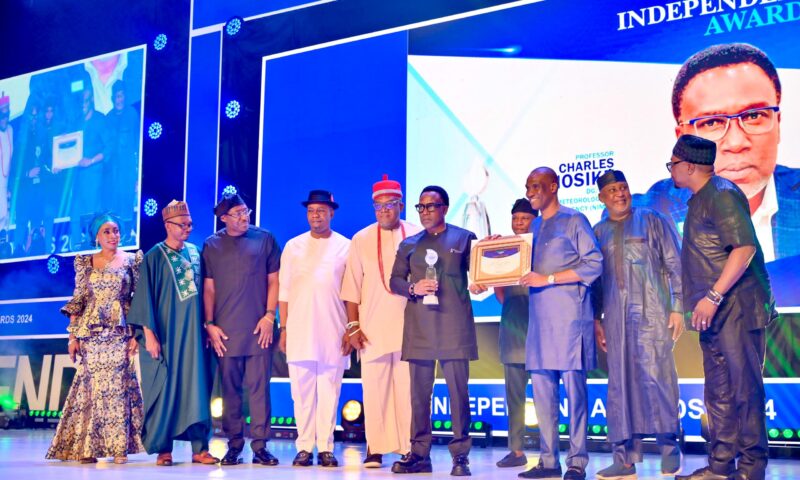 Independent Newspaper Awards NiMet DG/CEO Anosike Aviation Sector CEO Of The Year 2024
