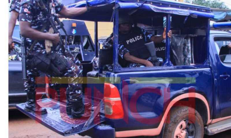 Police bust Lagos baby factory, rescue 10 victims