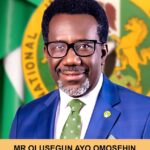 Olusegun A Omosehin