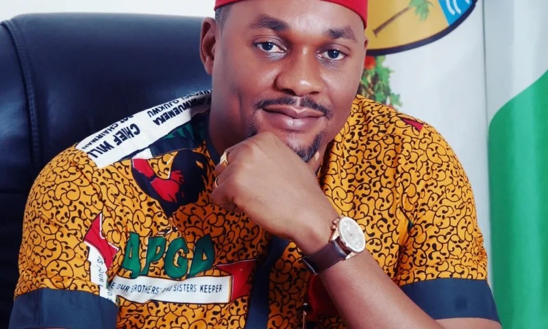 Fallout of APC primaries: Chieftain Ibezi dumps party