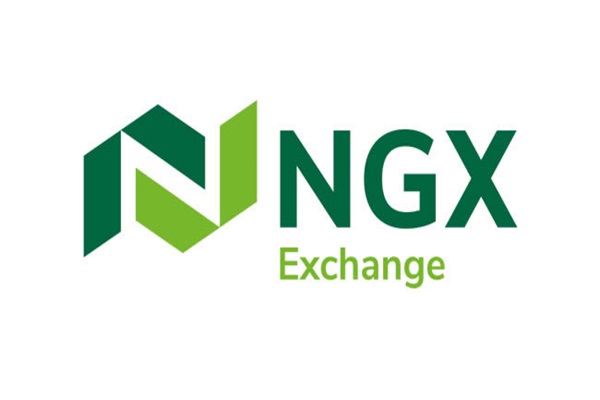 Over 200,000 Nigerians Now Shareholders After NSE Shake-Up