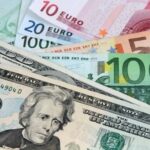Net-Foreign-Exchange-510×340