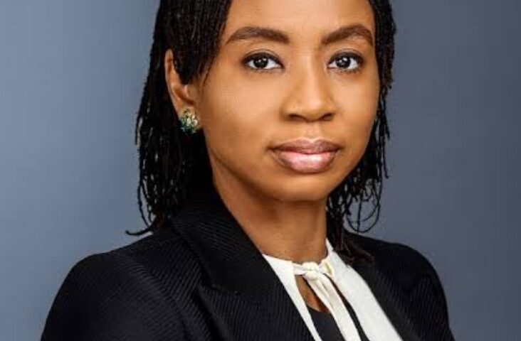 PenCom DG to IMF: ₦5.51 Trillion Pension Investments Driving Nigeria’s Real Sector Growth