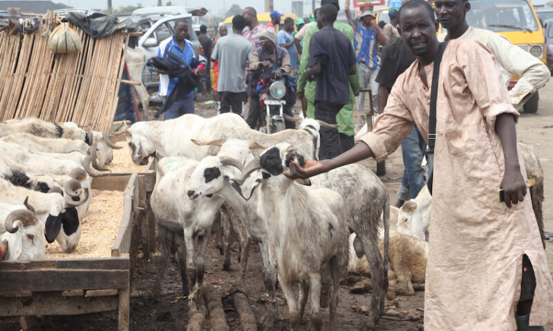 S’Arabia declares June 6 as Sallah day