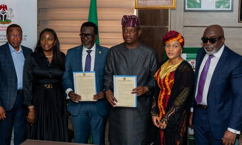 Omosehin Unveils New Aircraft Insurance Regulation, Signals Investment Boost for Aviation Sector