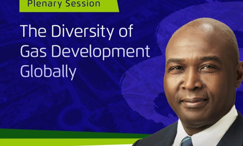 NLNG Leads Africa’s Energy Charge at WGC2025