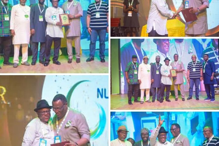 NLNG Wins Midstream Operator of the Year Award at NOGOF 2025