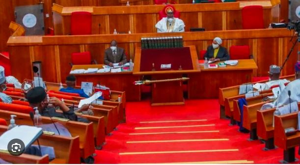 Senate confirms five INEC RECs