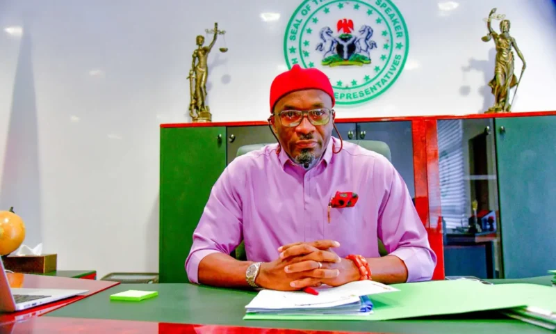 2027: Igbos will give Tinubu 80% votes – Deputy Speaker Kalu