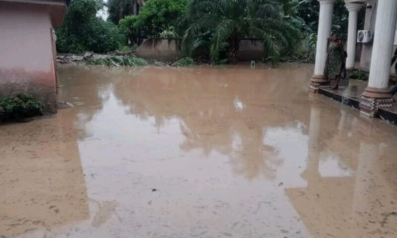 Flood ravages Borno communities, leaves two dead, dozens homeless