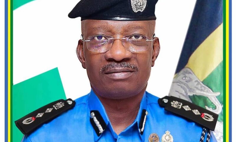 JUST IN: IG arrives Benue, deploys more officers to stop killings