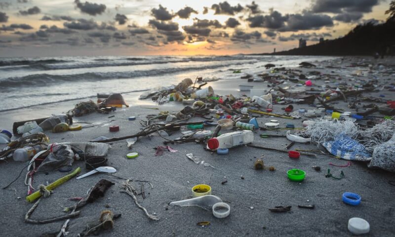 WED: Stakeholders at Unity Bank Webinar Demand Urgent Action on Plastic Pollution
