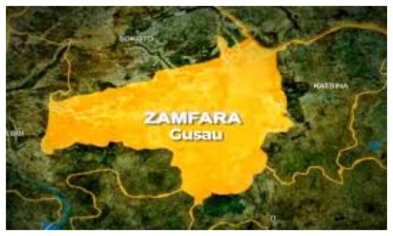 PFS forces neutralize 10 bandits, recover weapons in Zamfara