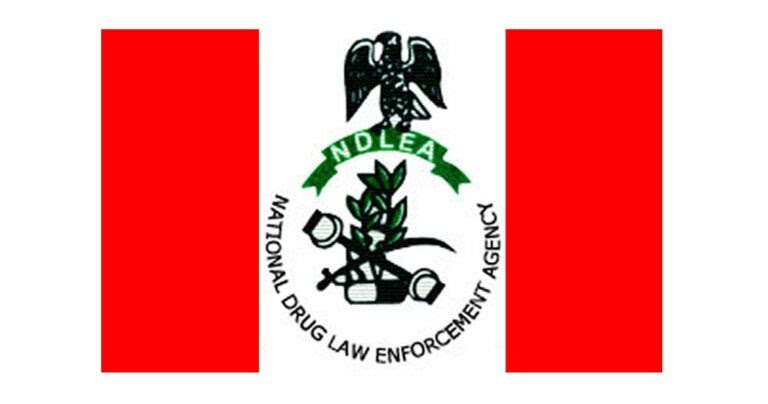 Four out of 10 undergraduates are into drugs – NDLEA