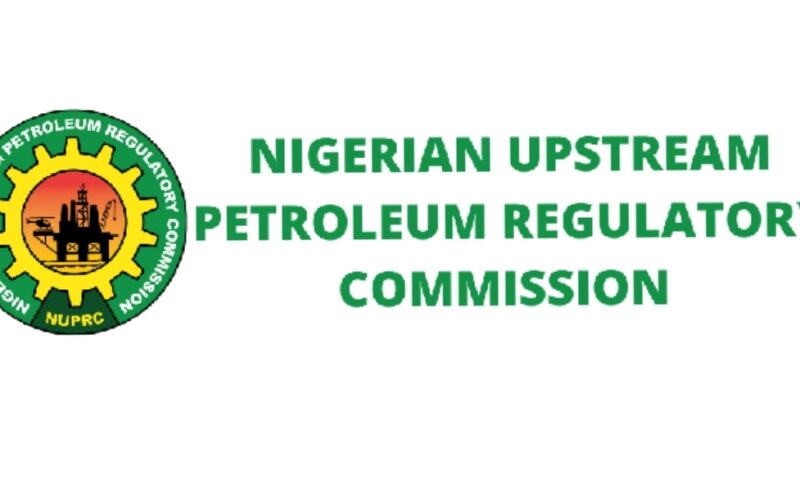 Why new firm won oil blocks in 2024 round — NUPRC