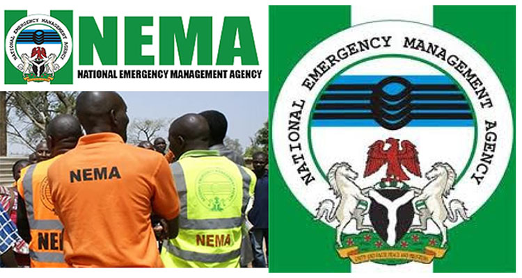 NEMA, NEDC intervene after windstorm displaces 1,800 in Taraba
