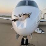 AIR PEACE Bird strikes