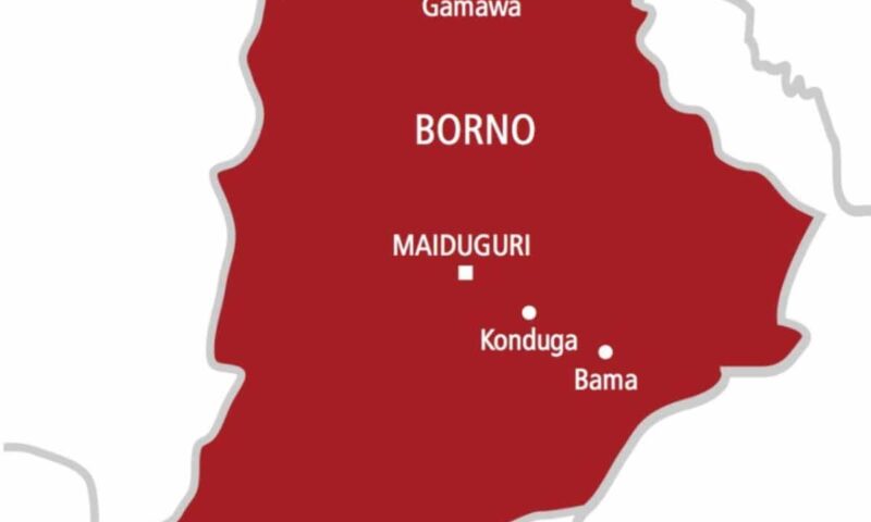 Suicide bomber kills 10 in Borno fish market blast