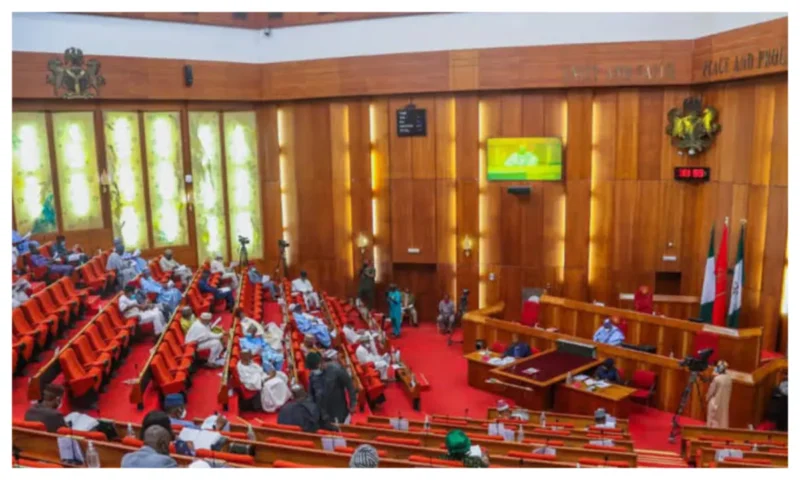 National Assembly will rubber stamp in Nigeria’s interest – Senate replies critics