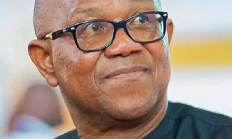 2027: PDP begs Peter Obi to return to party