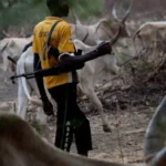 herdsmen-1536×711
