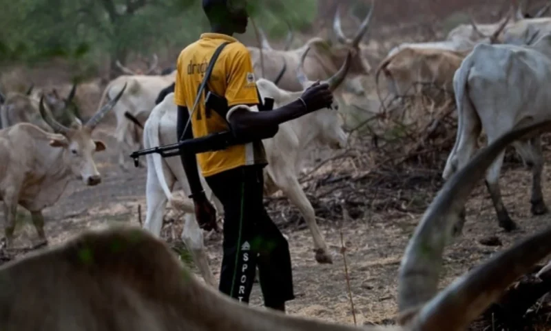 BREAKING: Scores feared dead as suspected herdsmen launch fresh attack on Naka, Benue