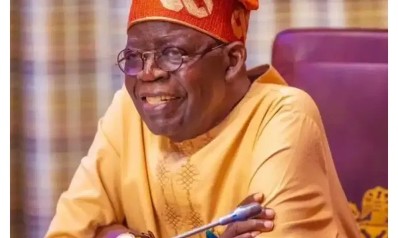 Why Tinubu deserves second term – Buni, Zulum