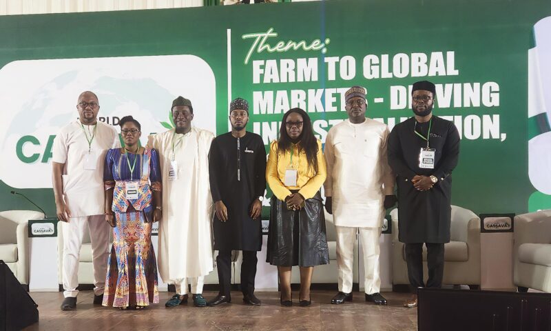 2025 World Cassava Day: FMN Agro, Federal Government Lead Call for Cassava Industrialization