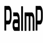 PALMPAY