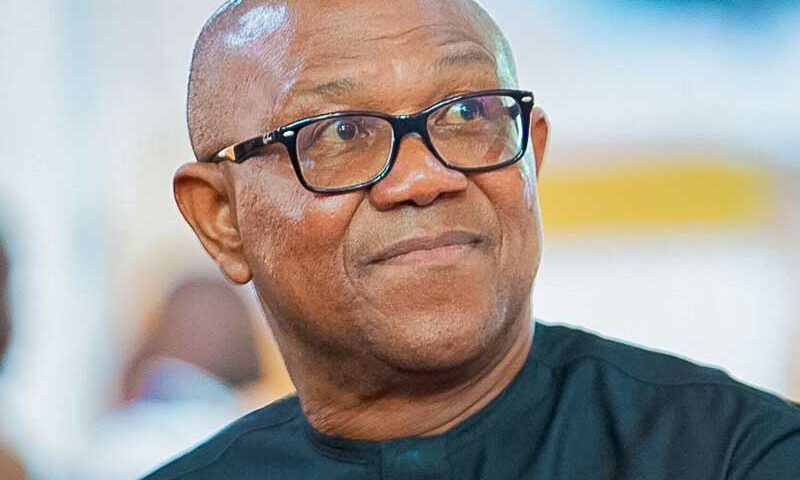 ADC: We’ll make sacrifice, ensure Nigerians get good leaders in 2027 – Peter Obi
