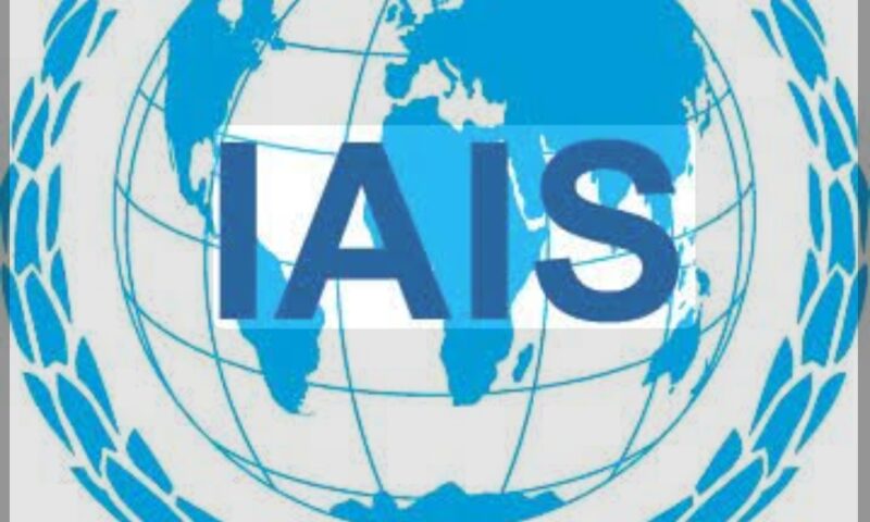 IAIS Sets Global Rules in Motion with New Insurance Capital Principles