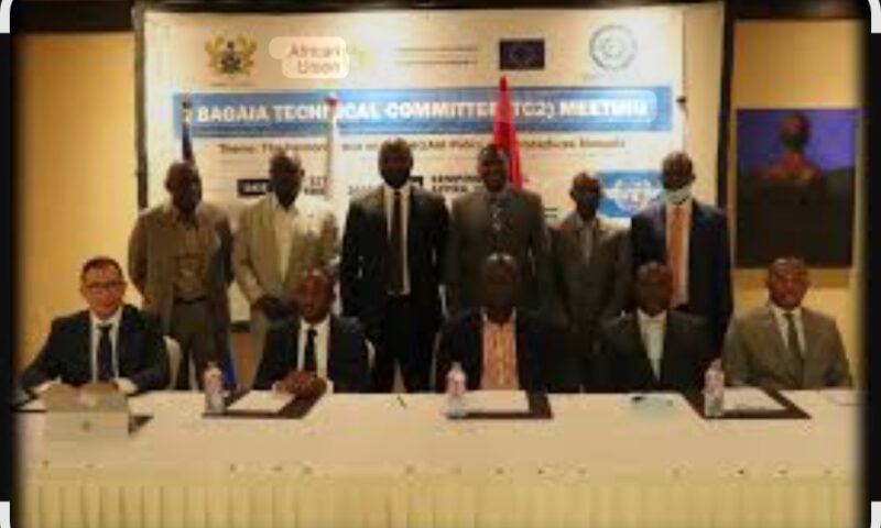 NSIB Hosts BAGAIA Summit, Boosts West Africa’s Aviation Safety Leadership