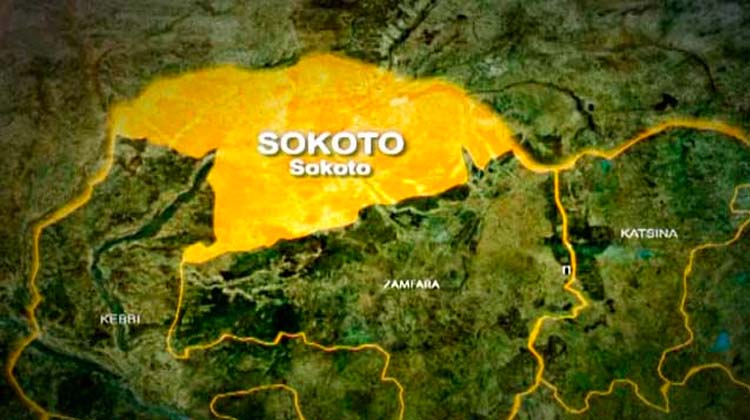 Sokoto rolls out 30 new buses, unveils e-ticketing platform