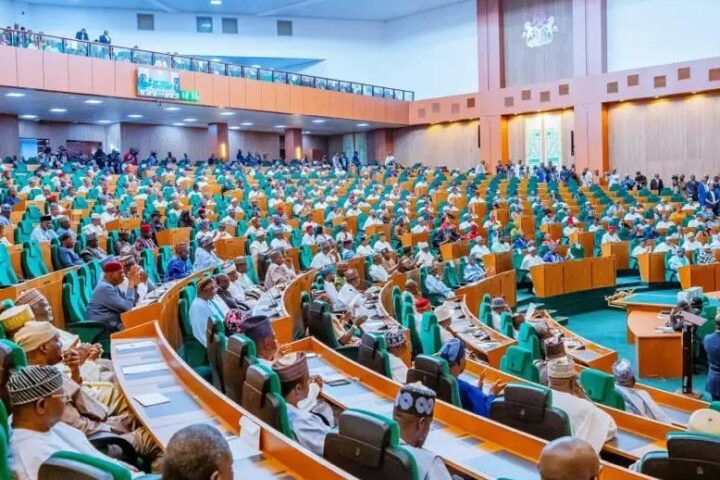 Reps probe Nigerian miners’ abuse claim in CAR