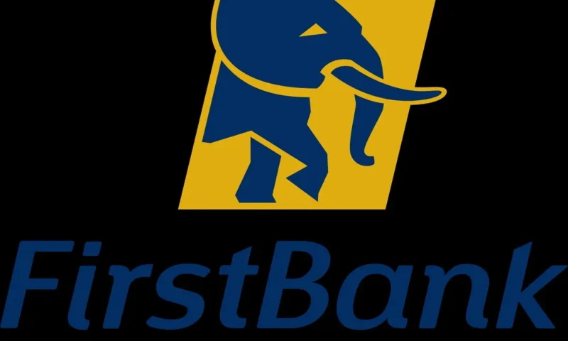 First Bank, UN Collaborates To Unlock Capital For Development