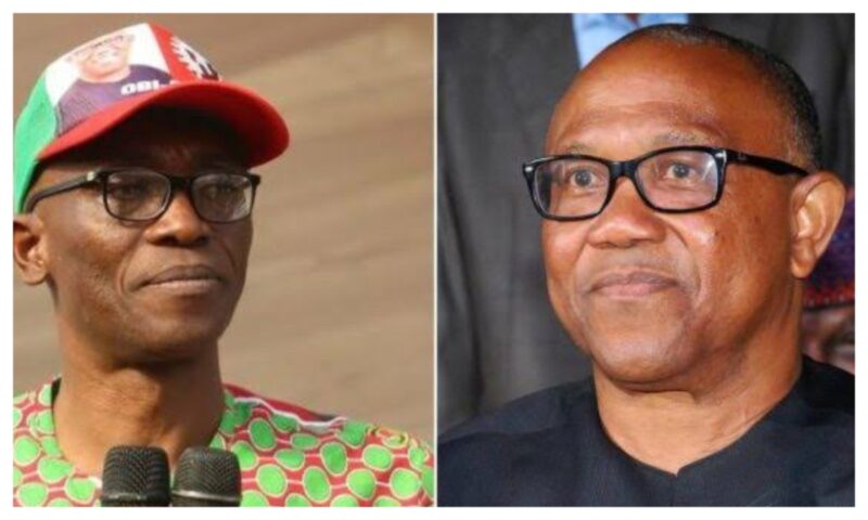 By-election: Peter Obi now ‘Uber’ politician -Julius Abure