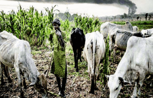 Two soldiers killed in herders-farmers clash in Taraba Two soldiers killed in herders-farmers clash in Taraba