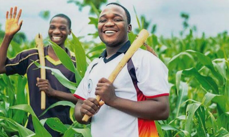 “Expert Warns: Farm Chemicals Pose Long-Term Health and Environmental Risks”