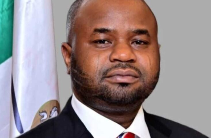 FIRS Rolls Out E-Invoicing to Boost Tax Compliance, Sets November Deadline