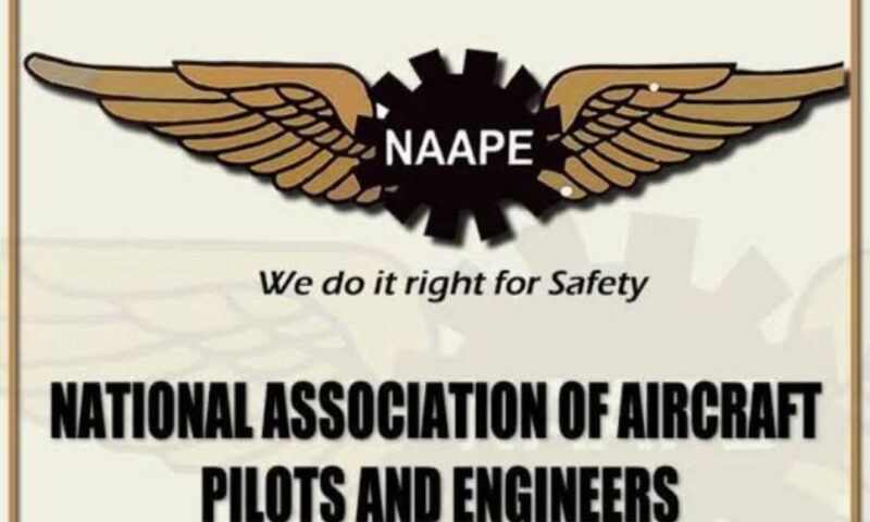 NAAPE Nears Take-Off with PEN Aviation Institute, Marks 40 Years of Advocacy