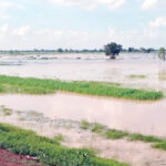 floods-threaten-Nigeria’s-rice
