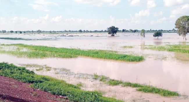 Flooding: FG directs four Niger LGs to relocate