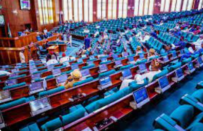 Reps C’ttee laments youth’s exclusion from digital economy