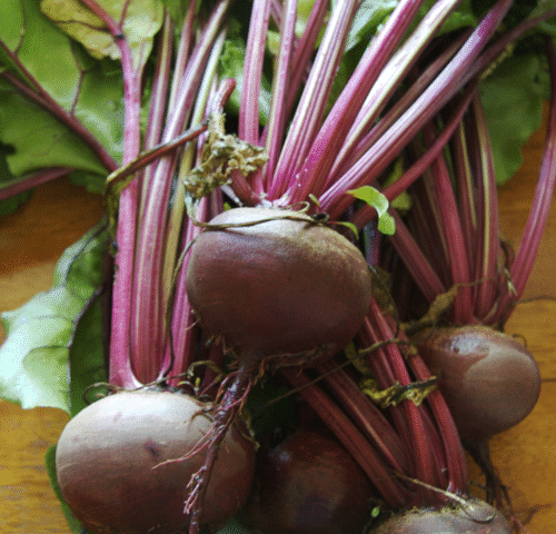 Nature’s Superfood Revolution: Beetroot Powder Redefines Heart Health, Energy, and Wellness